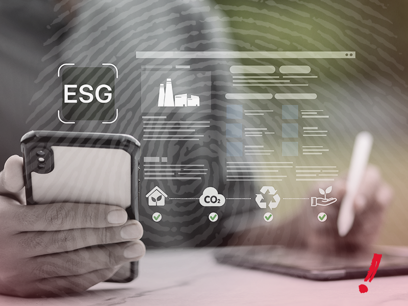 branding sustentável