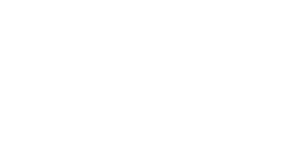 logo-bdmg-white